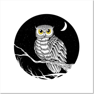 The Owl and The Moon Posters and Art